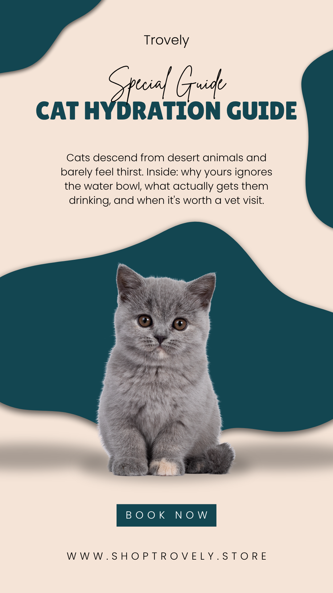 Trovely Cat Hydration Guide E-book